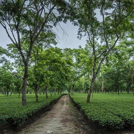 Tusker Tea County Hotel Chalsa Ngoại thất bức ảnh