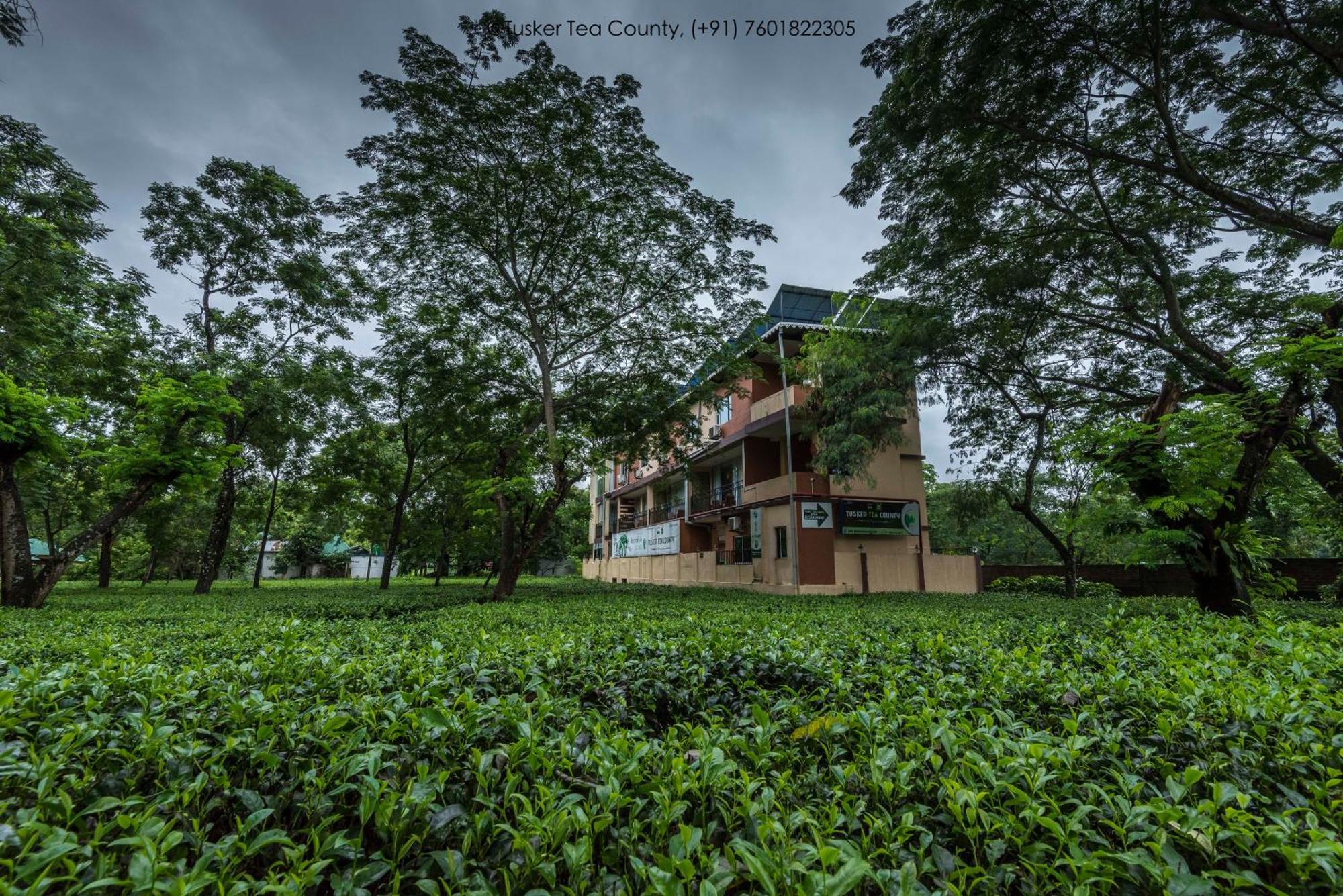 Tusker Tea County Hotel Chalsa Ngoại thất bức ảnh