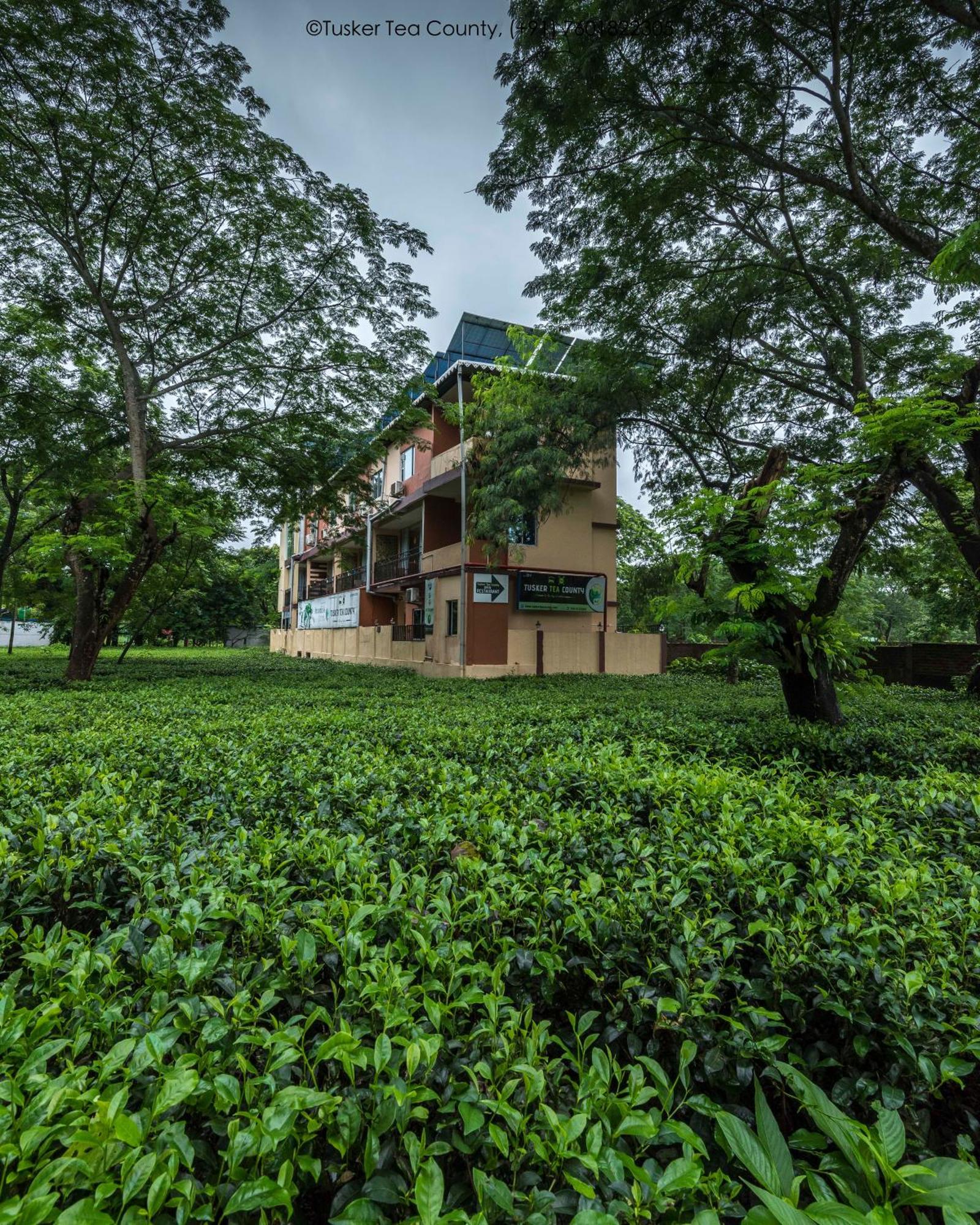 Tusker Tea County Hotel Chalsa Ngoại thất bức ảnh